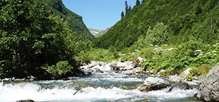 Тропа здоровя по ущелью Адзапш Ущелье Адзапш 1