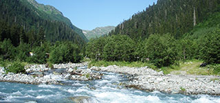 Тропа к Санчарским водопадам Ущелье Санчаро 1
