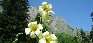 Тропа к Санчарским водопадам Ущелье Санчаро 5