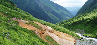 Минеральные источники Кислые Источники Кислые 4